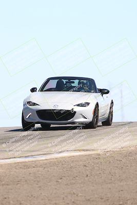 media/Jul-26-2025-Speed Ventures (Sat) [[fe569e6cf0]]/Purple Group/Grapevine/
